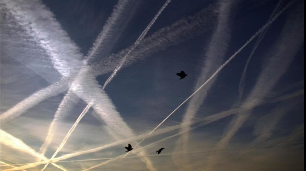 DOSSIER SULLE SCIE CHIMICHE (1)