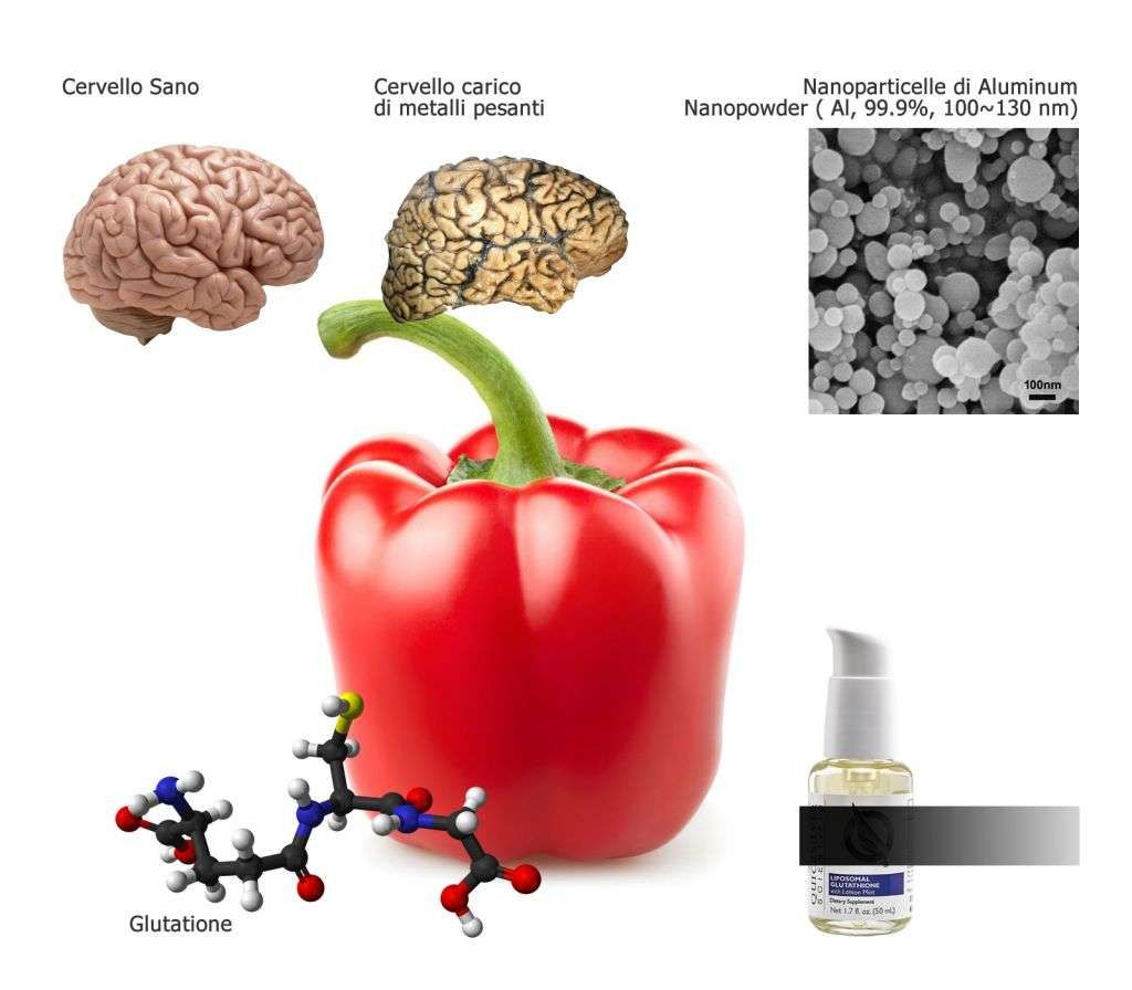 Glutatione: come disintossicare il corpo da metalli pesanti