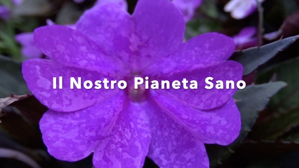 Il Gioco della Felicità che crea la condizione - Il Nostro Pianeta Sano -