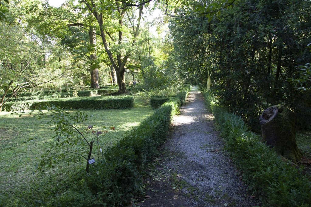 4, 11, 18 e 25 maggio: all’Orto botanico Mercoledì… Orto che parla