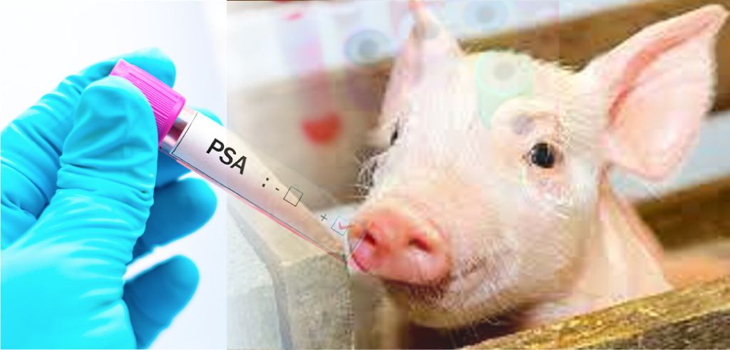 SFATTORIA DEGLI ANIMALI: ASL Roma 1: MISURE PREVISTA DA ORDINANZA COMMISSARIO E REGOLAMENTO UE