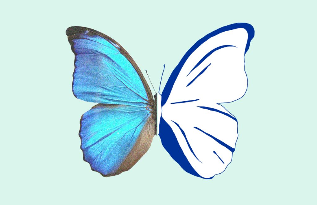 Ambiente - Il Consiglio Unione Europea, raggiunge un accordo sulla legge sul ripristino della natura