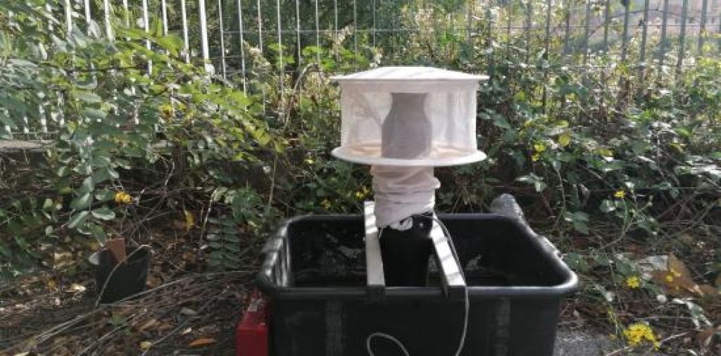 Zanzare - Usutu Virus a Genova: Monitoraggio e Prevenzione