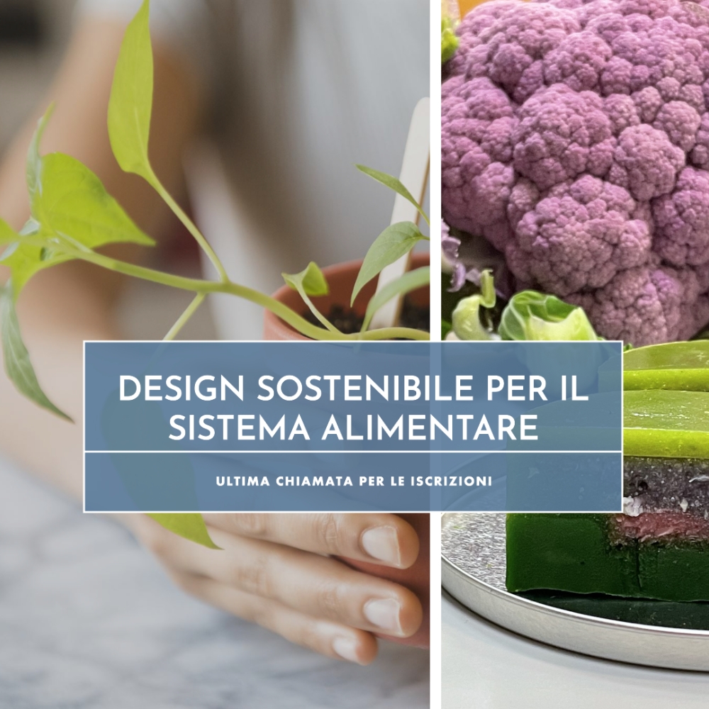 Ultima Chiamata per il Corso di Design Sostenibile per il Sistema Alimentare: Iscrizioni Aperte fino al 30 Agosto