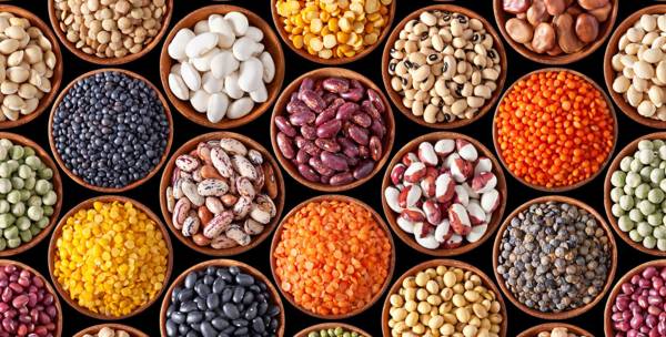 CON UN CHICCO DI GRANO