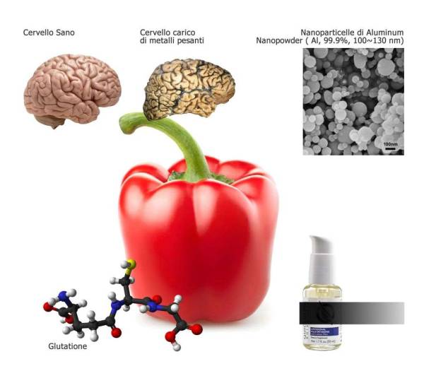 Glutatione: come disintossicare il corpo da metalli pesanti