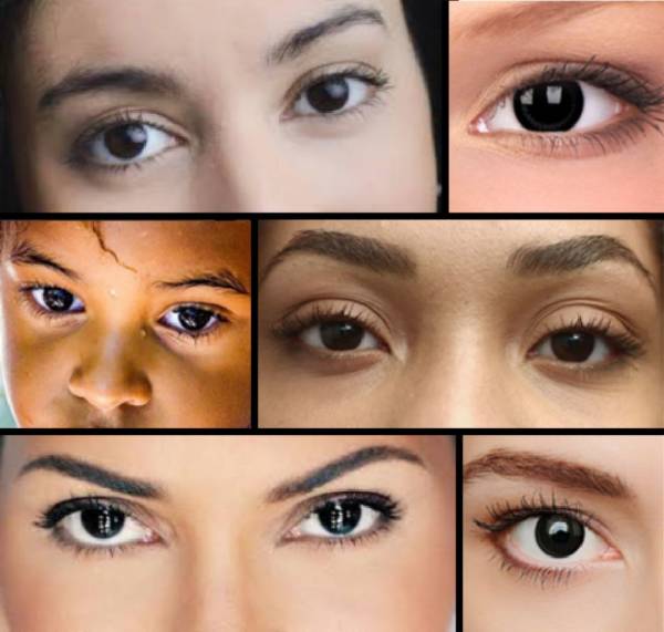 Perché gli occhi neri sono rari nelle persone?