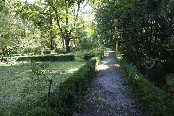 4, 11, 18 e 25 maggio: all’Orto botanico Mercoledì… Orto che parla