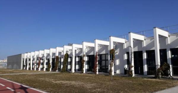 18 LUGLIO: DISCUSSIONE DELLE PRIME TESI IN SCIENZE DELLA NUTRIZIONE UMANA ALL’UNIVERSITÀ DI PARMA