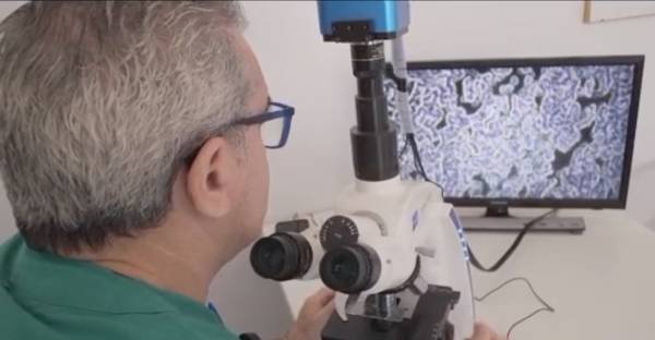 Progetto Cure: Comitato Fortitudo «studio sul sangue dei vaccinati per rispondere alle alterazioni dei globuli rossi In evidenza»