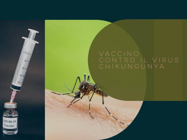 Vaccino Contro il Virus Chikungunya Approvato dalla FDA
