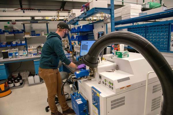 Alert in Maryland: Illicit Drug Market Flooded with Animal Tranquilizer