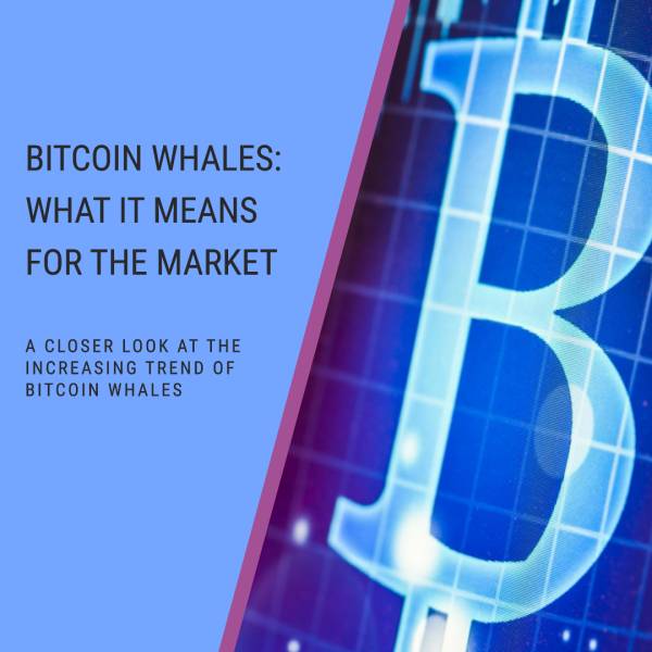 Bitcoin: Il Trend dei Whales in Aumento e le Implicazioni per il Mercato