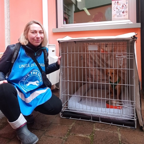 A Milano i box per i cani dei senza dimora. Così ...