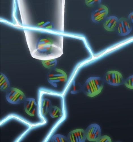 Al NIST misurare i danni al DNA in pochi minuti ca...